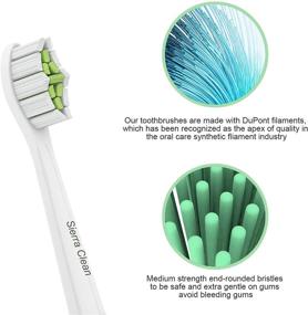 img 2 attached to 🦷 Highly Efficient Sierra Clean Replacement Toothbrush Heads for Sonicare DiamondClean HX6063/65 - Pack of 10 in Pristine White