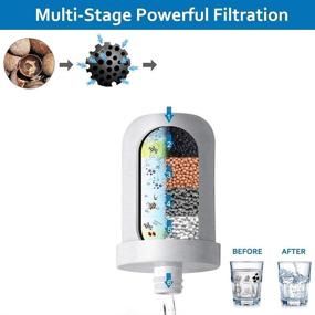 img 1 attached to Stainless Precision Filtration Chlorine Reduction