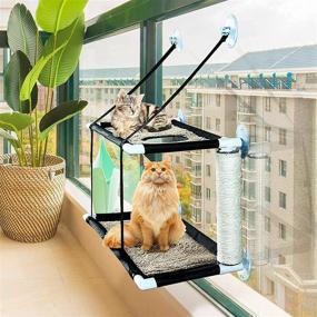 img 1 attached to 🐱 Ultimate Comfort for Indoor Feline Friends: Cat Window Hammock and Perch with Double Layered Beds