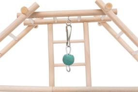 img 1 attached to 🐦 TRIXIE 5659 Wood Ladder Playground - Ideal Size: 44 × 44 × 16 cm