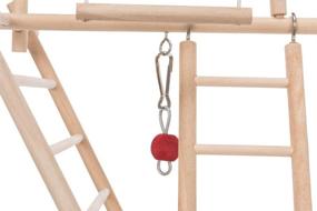img 2 attached to 🐦 TRIXIE 5659 Wood Ladder Playground - Ideal Size: 44 × 44 × 16 cm