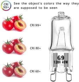 img 2 attached to 💡 Halogen Dimmable Bulb - 480 Lumens, Warm White 2700K