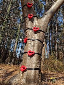 img 3 attached to 🌳 TUAHOO Backyard Ninja Tree Climber: Rock Climbing Holds for Kids and Adults - Ultimate Outdoor Obstacle Course