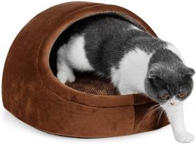 img 4 attached to Creating Premium Indoor Cat Beds - Cat House Tent with Washable Cushioned Pillow and Summer Mat, Kitten Beds Cat Hut, 16.9X16.3X12.7 inches