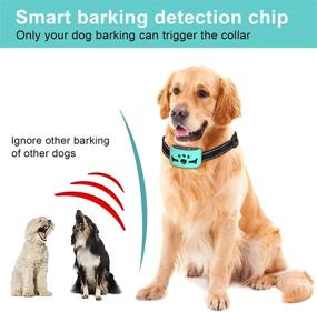 img 1 attached to 🐶 Rechargeable Dog Bark Collar with 7 Adjustable Levels, Harmless Shock, Beep Vibration, Smart Correction, LED Indicator- Waterproof Anti-Barking Collar for Small Medium Large Dogs