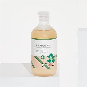 img 1 attached to 🌿 300ml ROUND LAB Mugwort Calming Toner with Madecassoside for Soothing Effect, Water-based Toner