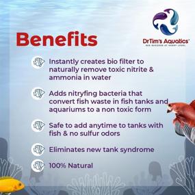 img 2 attached to DrTims Aquatics Nitrifying Bacteria Freshwater Fish & Aquatic Pets