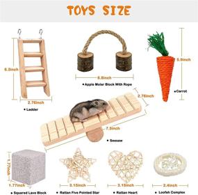 img 3 attached to 🐹 YUEPET Natural Wooden Seesaw Ladder Chew Toys - Ideal Accessories for Chinchillas, Guinea Pigs, Gerbils, and Hamsters - Promote Dental Health and Playful Exercise (Pack of 10)