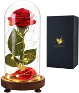 🌹 beauty and the beast rose kit: enchanting christmas rose gifts for women, red silk rose lasts forever with warm white led lights – romantic and unique gift for her, anniversary and thanksgiving logo