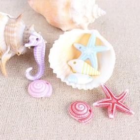 img 2 attached to TENDYCOCO Seashells Seahorse Natural Decorations