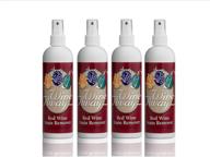 🍷 wine away red wine stain remover - premium fabric upholstery and carpet cleaning spray solution - eliminates wine spots - spray and wash laundry for stain removal - wine out - no odor - 12 ounce, pack of 4 logo