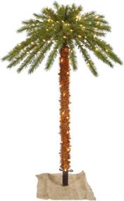 img 1 attached to Vickerman Outdoor Palm Clear Lights