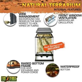 img 1 attached to 🐍 Exo Terra Glass Natural Terrarium: The Ultimate Habitat for Your Reptile Friends