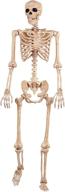 💀 pose-n-stay skeleton by crazy bonez logo