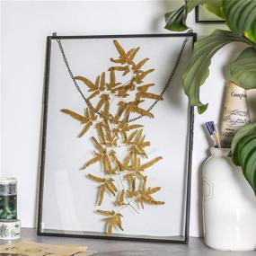 img 3 attached to 🖼️ Large Black Wall Hanging Painted Brass Glass Artwork Certificate Photo Picture Display Frame - Modern Vertical Decor Card Holder with Clip - 14.2" x 11", Perfect for Plant Specimens - Glass Frame Only