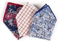 💎 luxurious paisley checker handkerchief - exude class and confidence logo