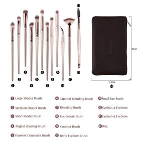 img 3 attached to 🎨 Daubigny Eye Makeup Brushes: 12-Piece Professional Set for Eye Shadow, Concealer, Eyebrow, Foundation, Powder Liquid Cream Blending - Includes Carrying Bag (Champagne Gold)