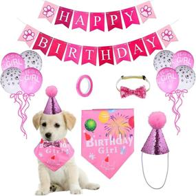 img 4 attached to TSLIVE Birthday Supplies Decorations Bandana（13 Piece