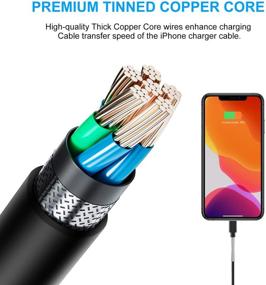 img 2 attached to 🔌 Apple MFi Certified Fast Lightning Cable - 6ft Long iPhone Charger, 5Pack, with Spring Protection for iPhone 12/11/Mini/Pro/Max/X/XS/XR/8/7/Plus/6/6S/SE etc. - Black