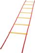 champion sports economy agility ladder logo