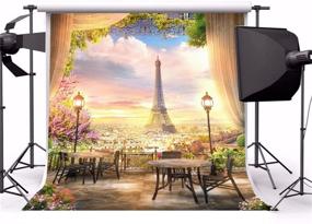 img 2 attached to 🗼 LFEEY 6x6ft Eiffel Tower Paris Garden Backdrops for Photoshoot with Window Curtain, Flowers, Trees, Sunset Landscape - City View Photography Background for Adults' Wedding Portraits, Vacation Photo Studio Props