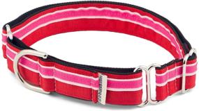 img 2 attached to 🐕 1" Adjustable Nylon Martingale Collar for Dogs - Made in the USA by If It Barks