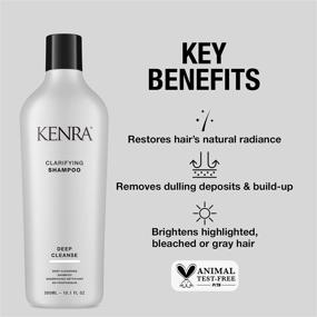 img 2 attached to 🌟 Kenra Clarifying Shampoo: The Ultimate Solution for Hair Build-up and Impurities