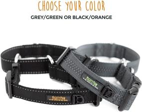 img 2 attached to 🐶 Mighty Paw Martingale Nylon Training Collar: Trainer Approved Limited Slip Collar with Modified Cinch for Optimal Training. Enhanced Safety with Reflective Stitching, Ensuring Your Dog's Well-being!