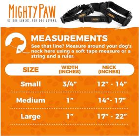 img 3 attached to 🐶 Mighty Paw Martingale Nylon Training Collar: Trainer Approved Limited Slip Collar with Modified Cinch for Optimal Training. Enhanced Safety with Reflective Stitching, Ensuring Your Dog's Well-being!