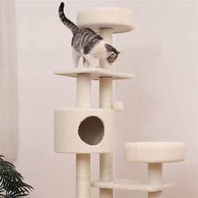 img 2 attached to 🐱 Mohan 0801b Large Cat Tree Condo Tower: Modern Beige Carpet for Indoor Adult Cats - Perfect for Scratching & Relaxing