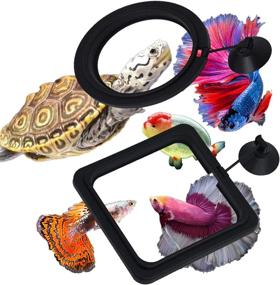 img 2 attached to 🐠 Zvaiuk 2pcs Fish Feeding Ring: Floating Food Feeder for Guppies, Betta Fish, Goldfish, and Turtles – ABS Material with Suction Cup – Aquarium Fish Tank Feeder Circle (Square and Round)