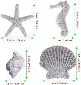 img 3 attached to 🐚 Set of 30 DSTFUY Shell Ornaments - White Resin Pencil Finger Starfish, Seahorse, Seashells & Finger Conch with Pre-Drilled Hole for Beach Wedding, Party, Home, DIY Craft Decorations