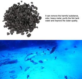 img 2 attached to Hffheer Aquarium Purification Activated Carbon with Fine Mesh Bag – Premium Charcoal Media for Efficient Fish Tank Filtration