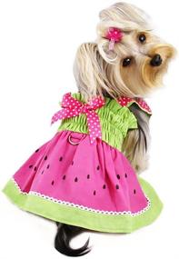 img 2 attached to 🍉 Stylish Klippo Dog/Puppy Sundress: Watermelon-inspired Picnic Dress for Small Breeds, Perfect for Spring/Summer!