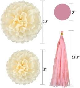 img 3 attached to 🎉 Pistha Bachelorette Party Decorations Set - 30 Pieces, Including 8 Tissue Paper Pom Poms, 20 Tissue Tassels, and 2 Polka Dot Paper Garlands with Golden Lines