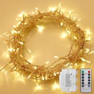 starker 100leds waterproof chirstmas dimmable логотип