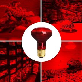 img 1 attached to 🔥 Efficient 75W Red Heating Light Infrared Bulb, UVA Spot Heat Lamp for Reptile & Amphibian Use - Lizard, Tortoise, Spider, Snake, Chameleon - 2 Pack