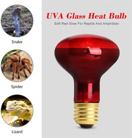 img 2 attached to 🔥 Efficient 75W Red Heating Light Infrared Bulb, UVA Spot Heat Lamp for Reptile & Amphibian Use - Lizard, Tortoise, Spider, Snake, Chameleon - 2 Pack