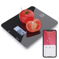 📱 fitindex smart food nutrition scale: bluetooth digital kitchen scale with nutritional calculator and timer for macro, keto, calorie, and weight loss - multifunction coffee scale with smartphone app logo