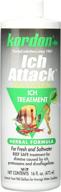 🐠 kordon #39446 ich attack - 100% natural and herbal formula treatment for aquariums - 16-ounce logo