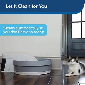 img 3 attached to 🐱 PetSafe Simply Clean Self Cleaning Cat Litter Box: The Ultimate Automatic Solution for Clumping Cat Litter