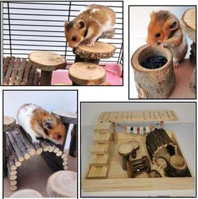 img 3 attached to 🐹 Dwarf Hamster & Gerbil Natural Living Climb System: Activity Set with Platform Toy, Fruitwood Exercise Chewing Toys, Wooden Hideouts & House, Ladder Bridge for Small Pets - Fun Playground Castle!