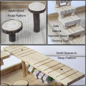 img 2 attached to 🐹 Dwarf Hamster & Gerbil Natural Living Climb System: Activity Set with Platform Toy, Fruitwood Exercise Chewing Toys, Wooden Hideouts & House, Ladder Bridge for Small Pets - Fun Playground Castle!