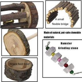 img 1 attached to 🐹 Dwarf Hamster & Gerbil Natural Living Climb System: Activity Set with Platform Toy, Fruitwood Exercise Chewing Toys, Wooden Hideouts & House, Ladder Bridge for Small Pets - Fun Playground Castle!