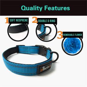 img 2 attached to 🐶 PINCTROT Reflective Dog Collar with Removable Flower: Neoprene Padded, Breathable, Adjustable for Dogs of All Sizes