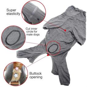 img 3 attached to HEYWEAN Dog Surgical Recovery Suit for Abdominal Wound Protection: Long Sleeve E-Collar Alternative After Surgery, Ideal Pet Supplier