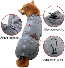 img 2 attached to HEYWEAN Dog Surgical Recovery Suit for Abdominal Wound Protection: Long Sleeve E-Collar Alternative After Surgery, Ideal Pet Supplier