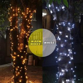 img 1 attached to Christmas Dual Color LED String Light: 2-in-1 Cool and Warm White, Timer/Remote/Dimmable/9 Modes, 66ft 200 LED, Indoor/Outdoor Decorative Fairy Light for Bedroom, Patio, Party and More