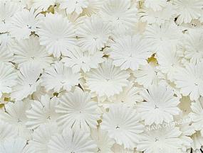 img 2 attached to NAVA CHIANGMAI 100 White Mulberry 🌼 Daisy Paper Flowers for Scrapbooking Embellishment: Enhancing SEO