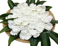nava chiangmai 100 white mulberry 🌼 daisy paper flowers for scrapbooking embellishment: enhancing seo logo